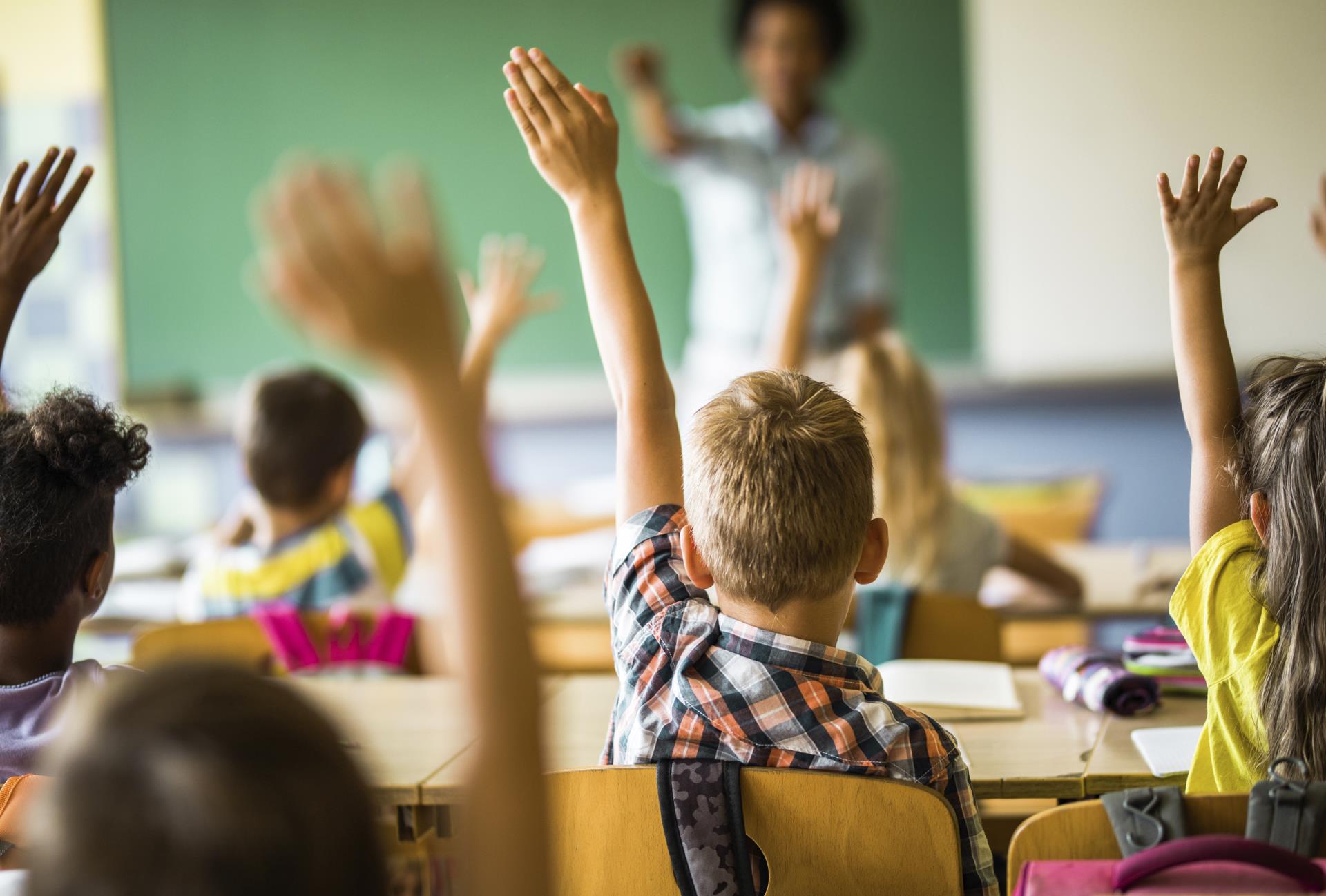 Students with hands raised